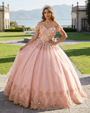 Pink Off The Shoulder Embroidered Lace Ball Gown Quinceanera Dresses