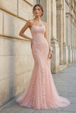 Mermaid Spaghetti Straps Lace Prom Dress