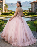 Pink Sweetheart Neckline Quinceanera Ball Gown Dress