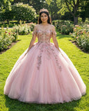 Pink Tulle Appliques Off The Shoulder Quinceanera Dresses