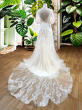A-Line/Princess Tulle V-neck Short Sleeves Applique Sweep/Brush Train Wedding Dresses Bridal Gowns