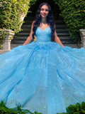 A-Linie/Princess-Linie Gerüscht V-Ausschnitt Ärmellos Sweep/Pinsel zug Kleider Ballkleid Ballkleider