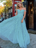 A-Line/Princess Tulle Applique Off-the-Shoulder Sleeveless Sweep/Brush Train Dresses Prom Evening Dress