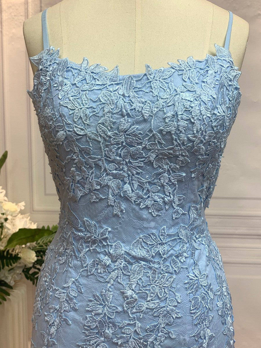 Sheath/Column Lace Applique Spaghetti Straps Sleeveless Sweep/Brush Train Dresses Prom Evening Dress