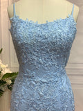 Sheath/Column Lace Applique Spaghetti Straps Sleeveless Sweep/Brush Train Dresses Prom Evening Dress