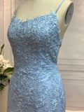 Sheath/Column Lace Applique Spaghetti Straps Sleeveless Sweep/Brush Train Dresses Prom Evening Dress