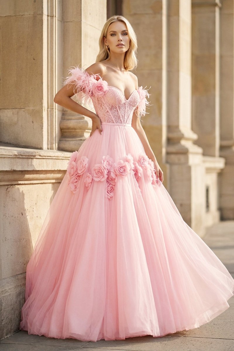 PRINCESS A-LINE OFF THE SHOULDER LACE TULLE PROM DRESS