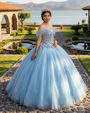 Quinceanera Dress Princess Short Sleeve Ball Gown Sequins Party Dresses