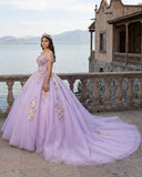 Princess Off the Shoulder Appliques Chapel Train Quinceanera Dresses