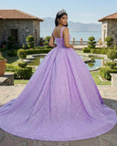 Purple Sweetheart Sequined Evening Party Dress