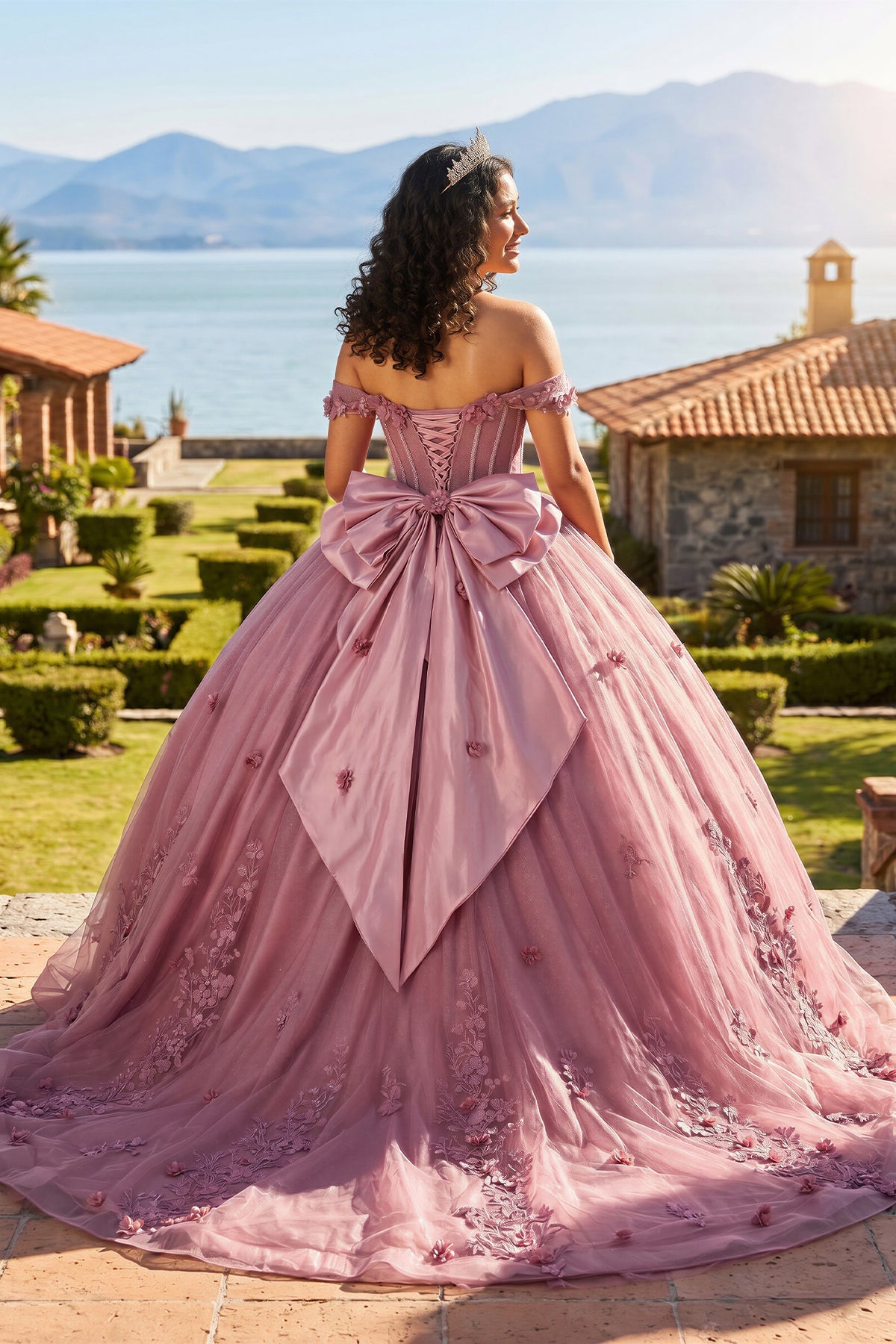 Off The Shoulder Lace Up Back Appliques Tulle Quinceanera Dress