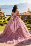 Off The Shoulder Lace Up Back Appliques Tulle Quinceanera Dress
