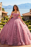 Off The Shoulder Lace Up Back Appliques Tulle Quinceanera Dress