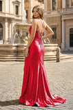 Royal Blue Appliques Spaghetti Straps Mermaid Long Formal Dress