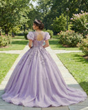 Romantic Quinceanera Organza Dress Ball Gown