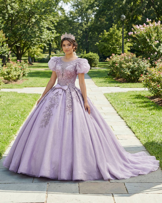 Romantic Quinceanera Organza Dress Ball Gown