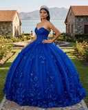 Royal Blue Ball Gown Quinceanera Dress With 3D Flowers