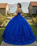 Royal Blue Ball Gown Quinceanera Dress With 3D Flowers