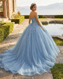 Sky Blue Ball-Gown Tulle 3D Flowers Sweetheart Quinceanera Dresses