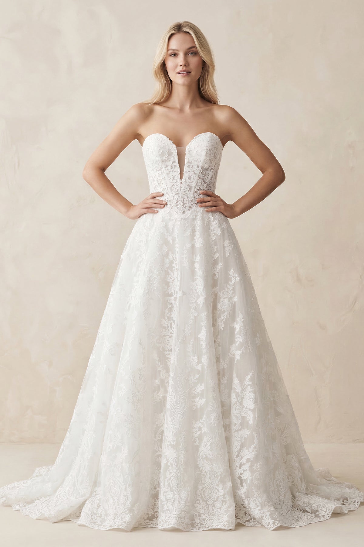 Plunge Lace A-Line Ruched Wedding Dress in White