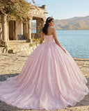 Sweetheart Pink Ball Gown Birthday Quinceanera Dresses