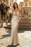 Sweetheart Aqua Blue Sheath Long Prom Dresses