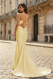 Pink Mermaid Spaghetti Straps Satin Long Prom Dresses with Train