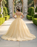 Yellow Ball Gown Tulle Off-the-Shoulder Quincenara Dresses