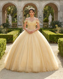 Yellow Ball Gown Tulle Off-the-Shoulder Quincenara Dresses