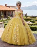 Big Bow Floral Flower Lace Applique Off Shoulder Ball Gown Quinceanera Dresses