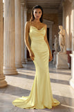 Pink Spaghetti Straps Satin Mermaid Prom Dress
