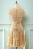 A-line Cap Sleeves Lace Sash Mini Bridesmaid Dress Party Prom Wedding Guest Dresses